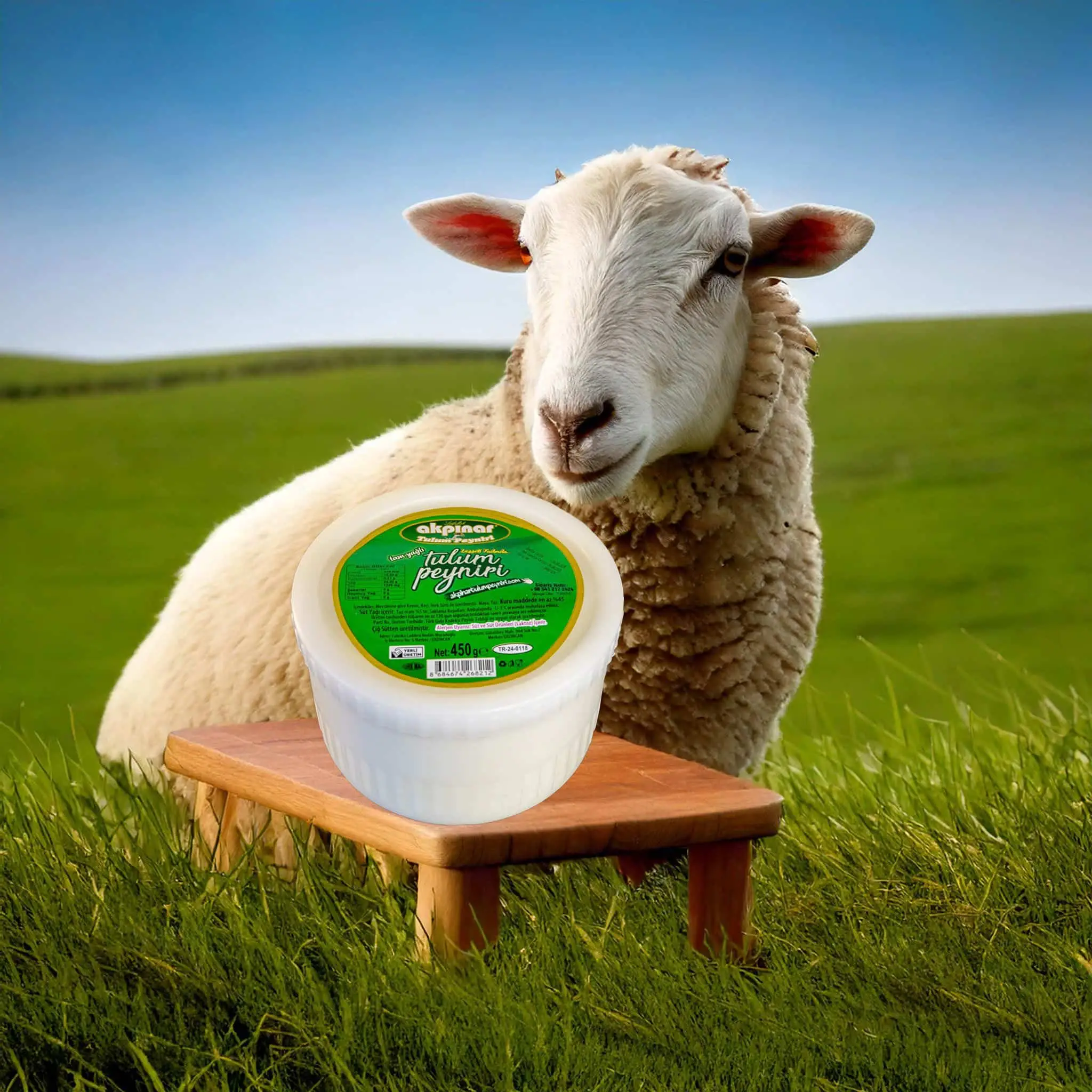 Newspaper WordPress Theme