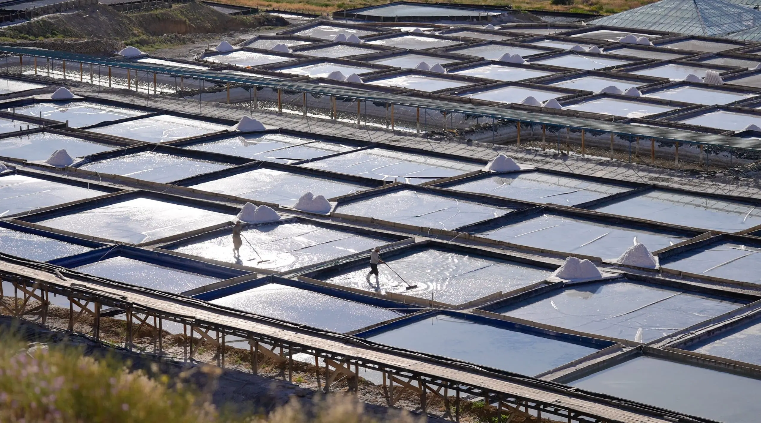 Kemah Kaya Tuzu Erzincan (10 kg)